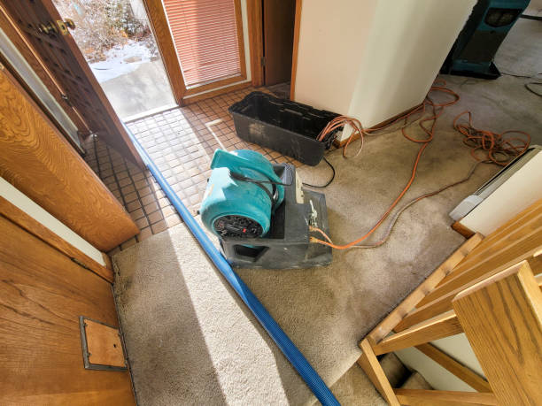 Trusted Bridge City, LA Water damage restoration Experts