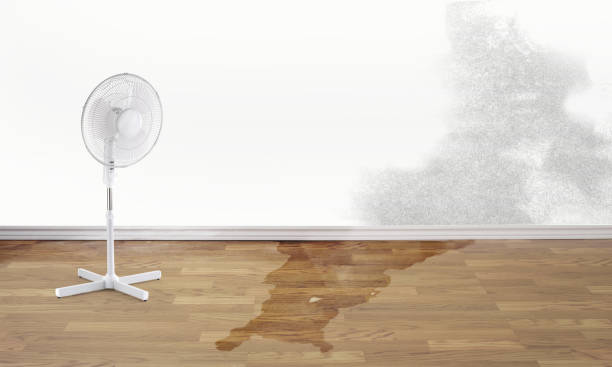 Water damage restoration mold remediation in Bridge City, LA
