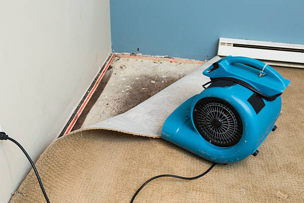  Bridge City, LA Water damage restoration Pros